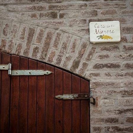 Apartament Accademia Al Colle Bolonia Zewnętrze zdjęcie